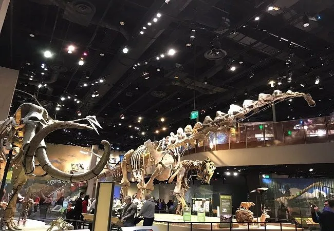 Top 12 Dallas TX Attractions