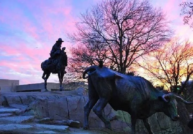 Top 12 Dallas TX Attractions