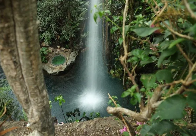 Top 12 Dallas TX Attractions